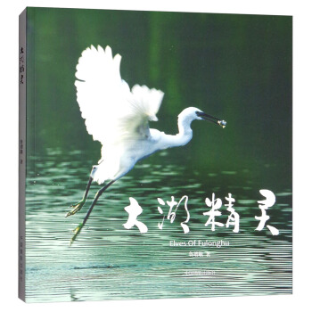 大湖精靈 [Elves of Fulonghu] pdf epub mobi 電子書 下載