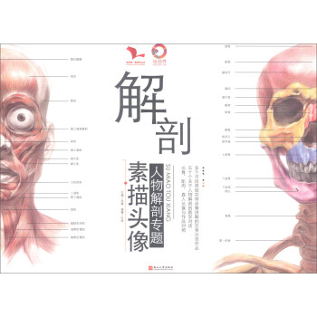 解剖：素描頭像/我有我一套係列叢書 pdf epub mobi 電子書 下載