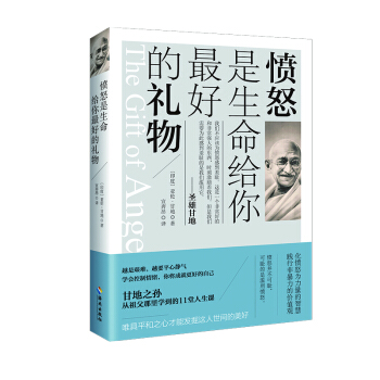 愤怒是生命给你最好的礼物 pdf epub mobi 电子书 下载