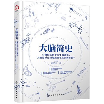 大脑简史