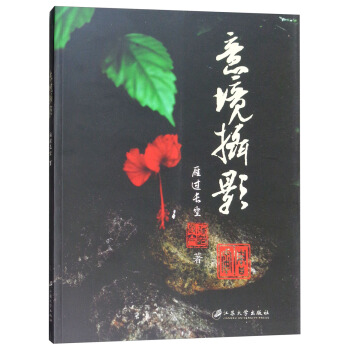 意境攝影 pdf epub mobi 電子書 下載