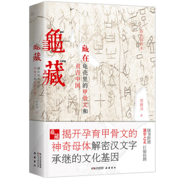 龟藏 pdf epub mobi 电子书 下载