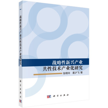 战略性新兴产业共性技术产业化研究 pdf epub mobi 电子书 下载