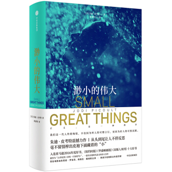 渺小的伟大 [Small Great Things] pdf epub mobi 电子书 下载