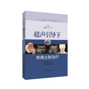 超声引导下疼痛注射治疗 pdf epub mobi 电子书 下载
