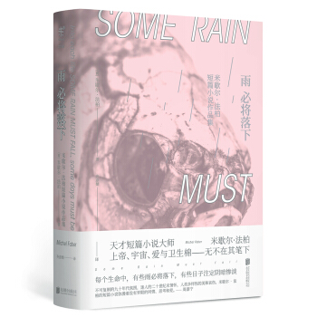雨必将落下 [SOME RIAN MUST FALL] pdf epub mobi 电子书 下载