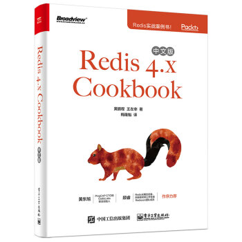 Redis 4.x Cookbook中文版 pdf epub mobi 电子书 下载