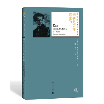 鋼鐵是怎樣煉成的(插圖本名著名譯叢書)