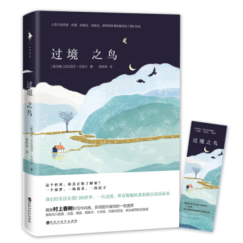 过境之鸟 pdf epub mobi 电子书 下载