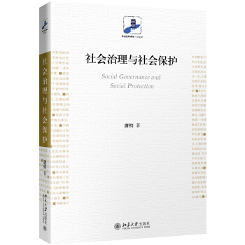 社会治理与社会保护