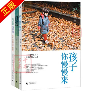 龙应台人生三书全3册套装 孩子你慢慢来+爱的安德烈+目送 龙应台 文学 书籍 pdf epub mobi 电子书 下载