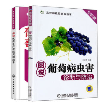 葡萄丰产栽培实用技术+图说葡萄病虫害诊断与防治 葡萄丰产栽培技术图书 葡萄种植管理书籍 pdf epub mobi 电子书 下载