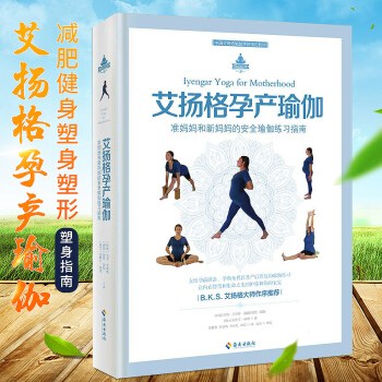 艾揚格孕産瑜伽 女性孕前準備 孕期全程以及産後修復的瑜伽練習手冊 初學者零基礎減肥健身塑身 pdf epub mobi 電子書 下載