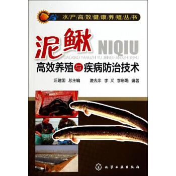 泥鰍高效養殖與疾病防治技術 pdf epub mobi 電子書 下載