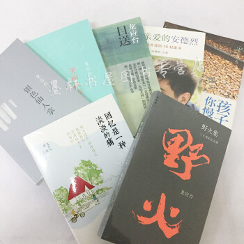 龙应台作品全集7册:银色仙人掌+美丽的权力+目送+野火集+亲爱的安德烈新版+孩子你慢慢来等 理想国
