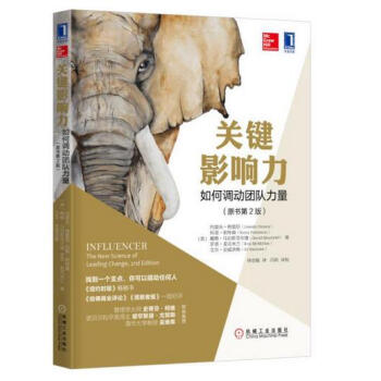 关键影响力：如何调动团队力量 pdf epub mobi 电子书 下载