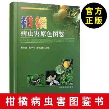 【柑橘病診治與防治書籍】柑橘病蟲害原色圖鑒 蔡明段 柑橘病蟲害防治技術 柑橘種植栽培技術