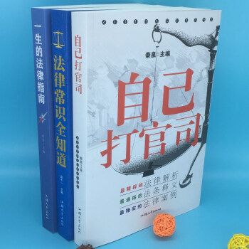 法律常識全知道 一生的法律指南 自己打官司 常用法律大全基礎知識的寶典 法規案例律師維護權 pdf epub mobi 電子書 下載