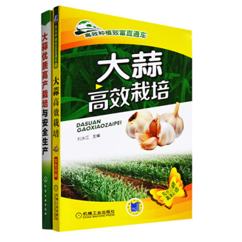 包郵 大蒜高效栽培+大蒜高産栽培與安全生産 2本 大蒜種植技術大全書籍