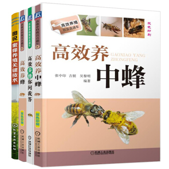圖說蜜蜂養殖關鍵技術+高效養蜂+高效養中蜂+高效養蜂你問我答 蜂飼養管理參考書 蜂病防治