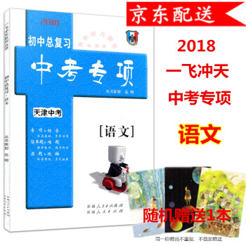 2018版 一飞冲天 初中总复习 天津中考专项 语文 天津版 pdf epub mobi 电子书 下载