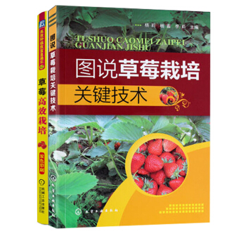 包邮 图说草莓栽培关键技术+草莓高效栽培 2本 草莓科学栽培技术 草莓种植户参考书 pdf epub mobi 电子书 下载
