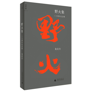 野火集(三十周年纪念版) 龙应台 当代文学散文随笔 广西师范大学出版社【新华书店官方正版】 pdf epub mobi 电子书 下载