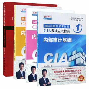 2018年国际注册内部审计师CIA考试应试指南+精要解读全4本基础+实务+知识要素+精要解读 pdf epub mobi 电子书 下载