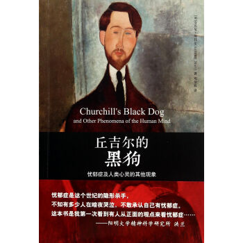 丘吉尔的黑狗(忧郁症及人类心灵的其他现象) pdf epub mobi 电子书 下载