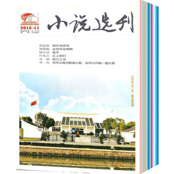 小说选刊杂志2016年8-11期4本打包文学文摘类中篇短篇小说期刊 pdf epub mobi 电子书 下载
