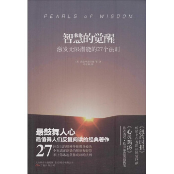 智慧的觉醒 pdf epub mobi 电子书 下载