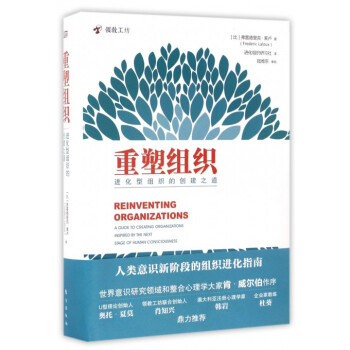 重塑組織(進化型組織的創建之道)(精) pdf epub mobi 電子書 下載