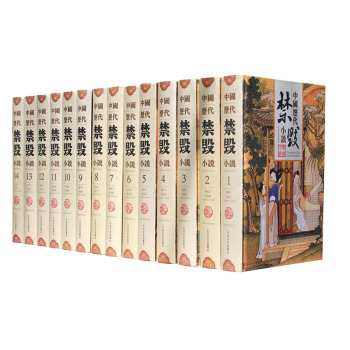 中國曆代禁毀小說（全14冊 精裝） pdf epub mobi 電子書 下載