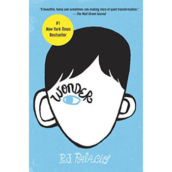 现货 Wonder 英文原版 奇迹男孩 pdf epub mobi 电子书 下载