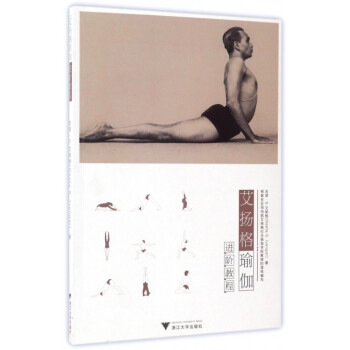 艾扬格瑜伽进阶教程 pdf epub mobi 电子书 下载