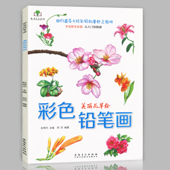 正版現貨 彩色鉛筆畫 美麗花草繪 手繪新生從入門到精通 鉛筆彩鉛愛好者少兒零基礎素描技法書 pdf epub mobi 電子書 下載