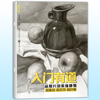 正版 敲门砖 入门有道 从照片到素描静物 素描基础教程铅笔画从入门到精通教材美术绘画书 结