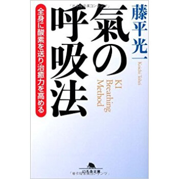 気の呼吸法 全身に酸素を送り治癒力を高める pdf epub mobi 电子书 下载