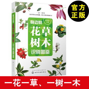 身边的花草树木识别图鉴 多肉园林植物花草树木鉴赏欣赏鉴别书籍 植物形态特征分类种类大全书 pdf epub mobi 电子书 下载