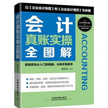 包邮会计真账实操全图解 小规模纳税人真账实操一点通/会计真账实操一点通丛书 pdf epub mobi 电子书 下载
