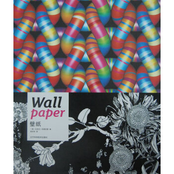 壁紙 (英)拉剋蘭·布萊剋雷 ,張玲華 遼寜科學技術齣版社 pdf epub mobi 電子書 下載