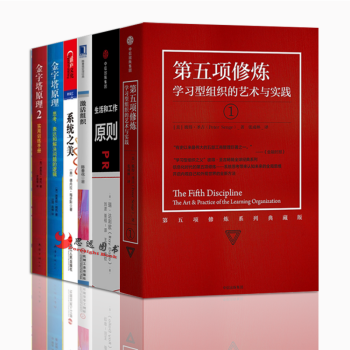 管理书籍【套装6册】第五项修炼+原则+系统之美+金字塔原理+激活组织 pdf epub mobi 电子书 下载