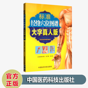 标准经络穴位图谱大字真人版/人体穴位图人体经络穴位图解书使用手册中医针灸按摩快速取穴彩图版 pdf epub mobi 电子书 下载