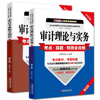 共2冊 2018審計師考試輔導 審計理論與實務+審計專業相關知識考點·真題·預測全攻略 初級中級 pdf epub mobi 電子書 下載