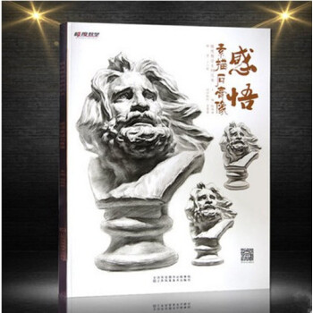 2017極度教學 感悟素描石膏像 丁興超石膏頭像五官結構明暗