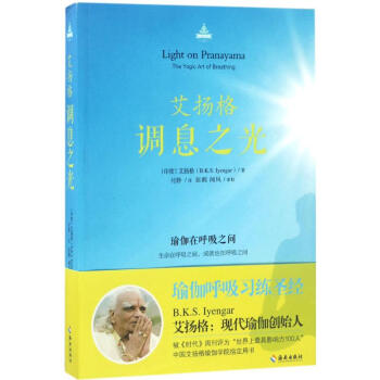 艾揚格調息之光 pdf epub mobi 電子書 下載