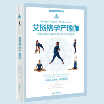 正版包邮 艾扬格孕产瑜伽 准妈妈新妈妈孕前准备孕期产后修复安全瑜珈练习指南 产后瑜伽书籍 pdf epub mobi 电子书 下载