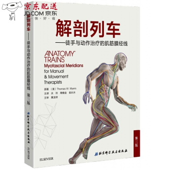 新书 解剖列车 第3版三 彩印版 徒手与动作治疗的肌筋膜经线 含解剖视频 供对人体结构 pdf epub mobi 电子书 下载