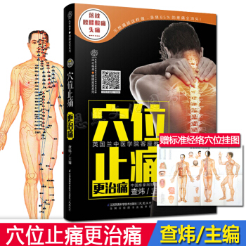 穴位止痛更治痛 健康穴位按摩止痛法 人体经络按摩推拿穴位图解书拔罐书籍 拔罐穴位书 pdf epub mobi 电子书 下载