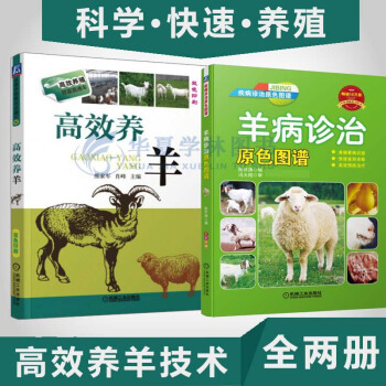 養羊書籍 高效養羊+羊病診治原色圖譜 2本套裝 羊病防治實用手冊 養羊技術大全 書籍